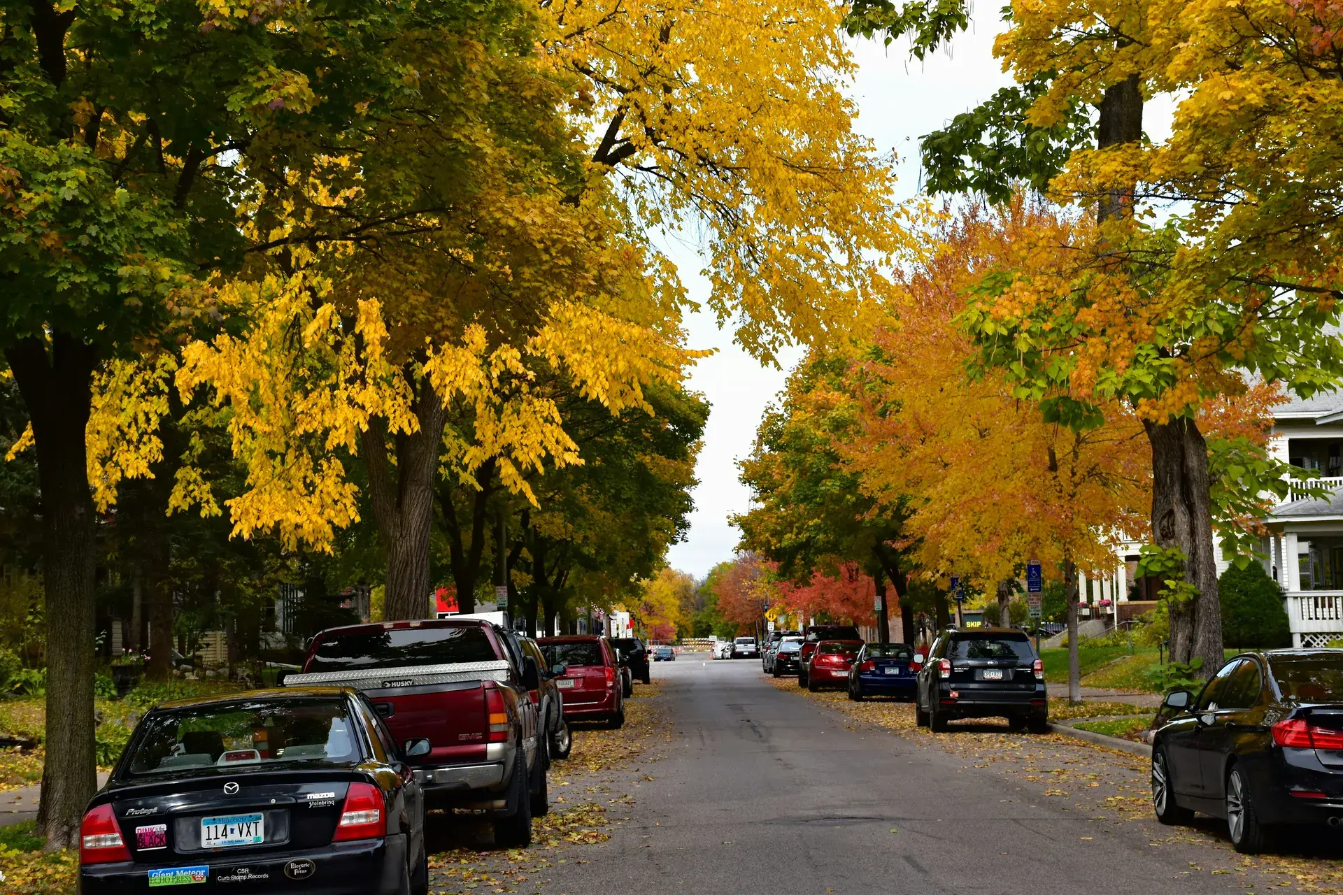 Tree-lined residential street in the Kenny neighborhood of Minneapolis in autumn