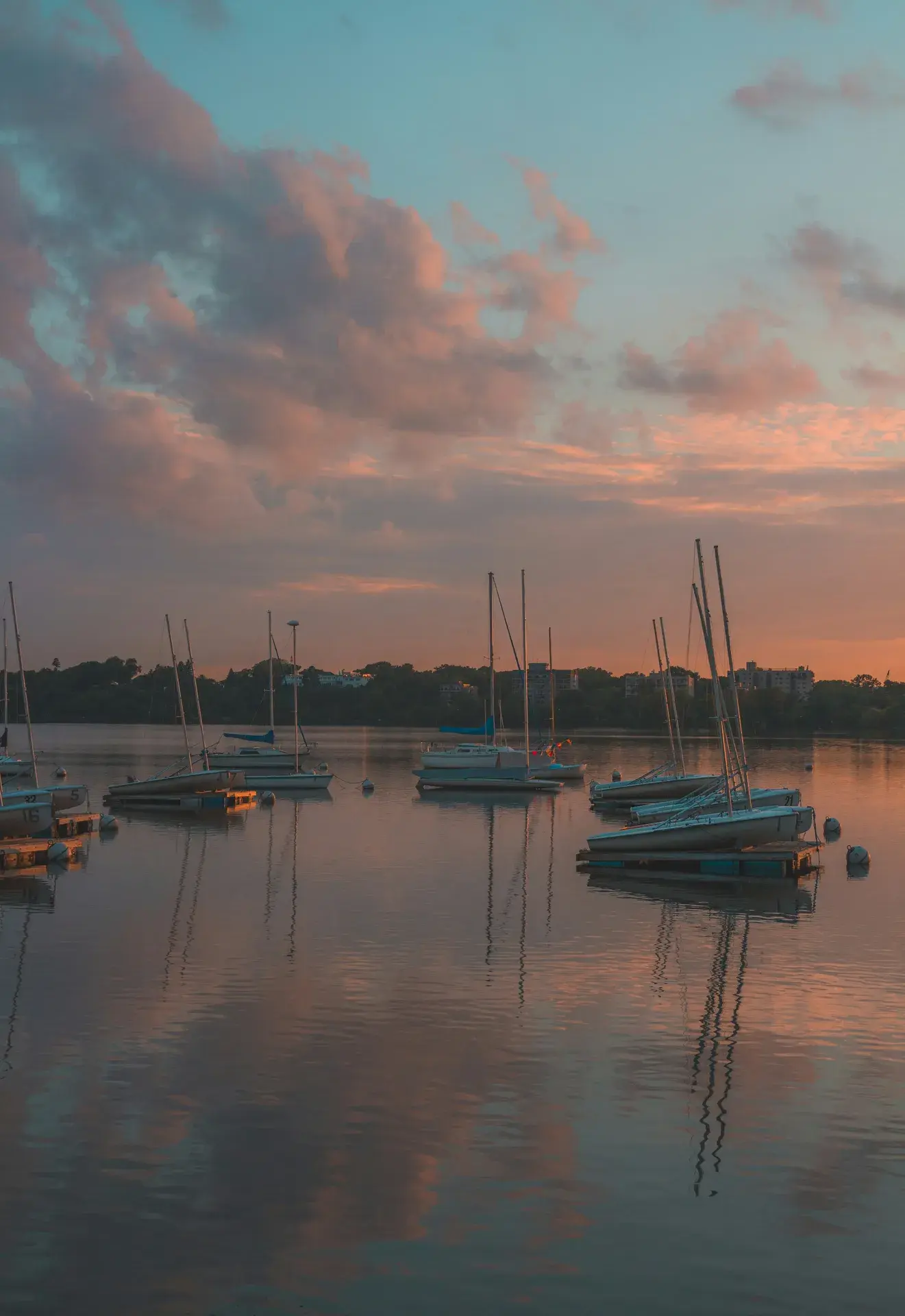 Bde Maka Ska's western shore with sailboats and the West Maka Ska parkway