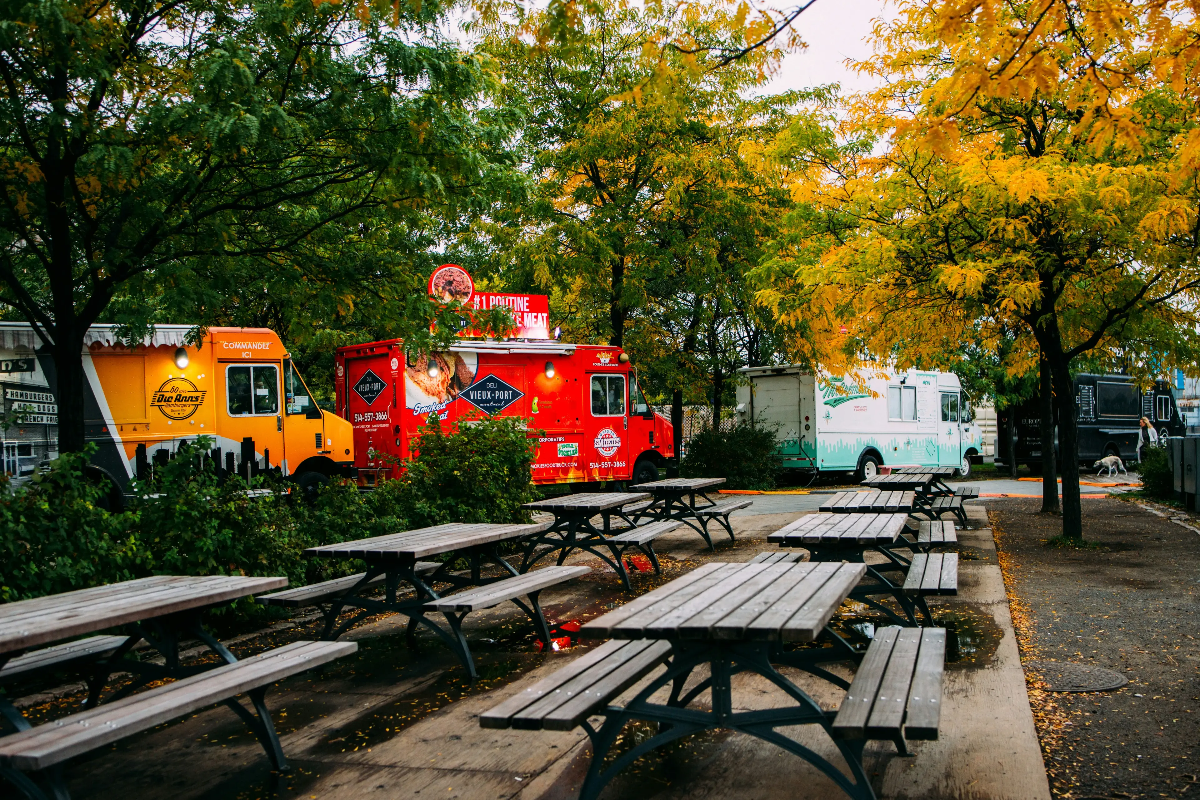 Food trucks with fall foliage and picnic tables