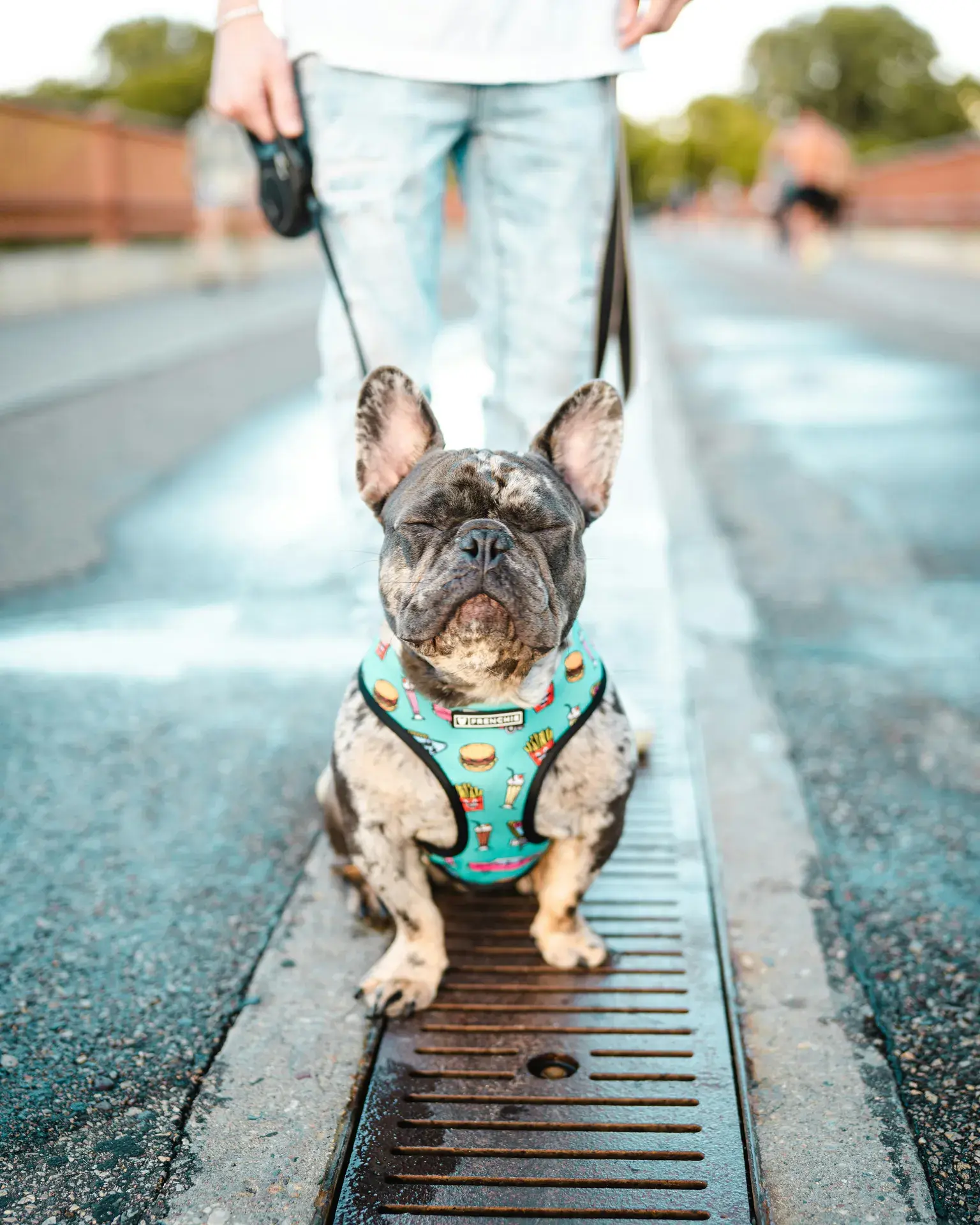 Best Neighborhoods for Dog Owners in Minneapolis (2026)