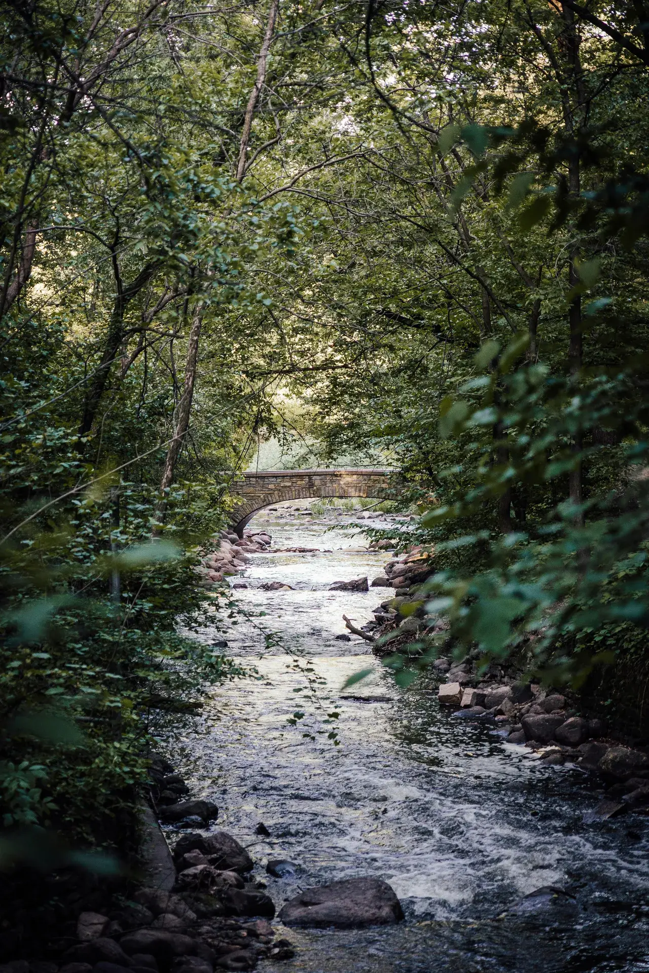 38th Street commercial corridor in the Standish neighborhood of Minneapolis